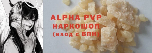 стафф Козельск