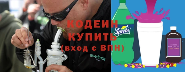 индика Кодинск