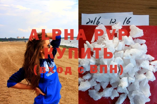 стафф Козельск