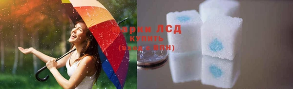 индика Кодинск
