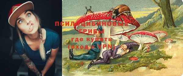 индика Кодинск