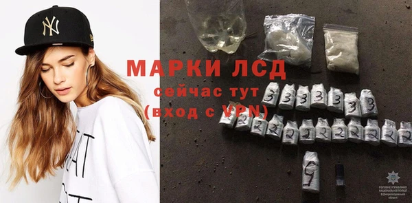 стафф Коряжма