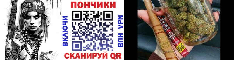 Купить где  Очёр  МАРИХУАНА ГИДРОПОН 